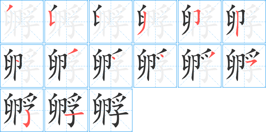 孵字笔顺分步演示