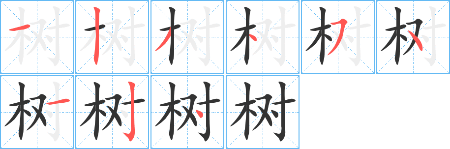 树字笔顺分步演示