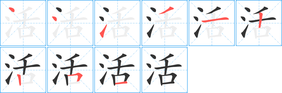 活字笔顺分步演示