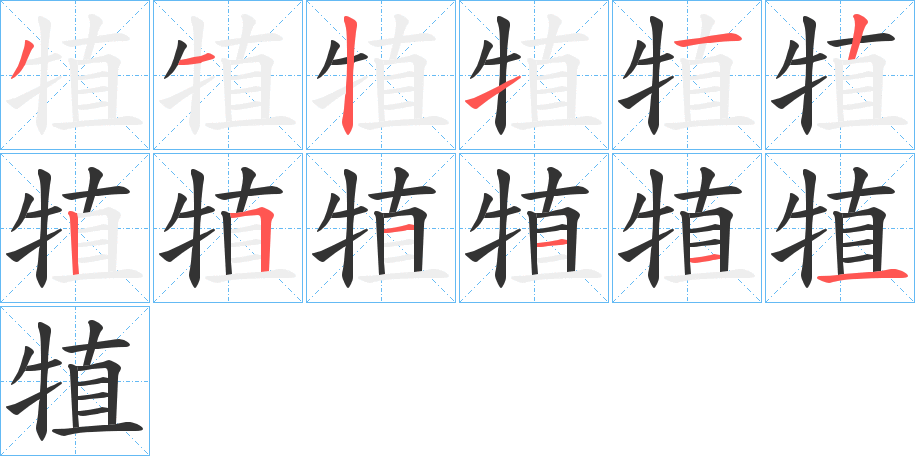 犆字笔顺分步演示