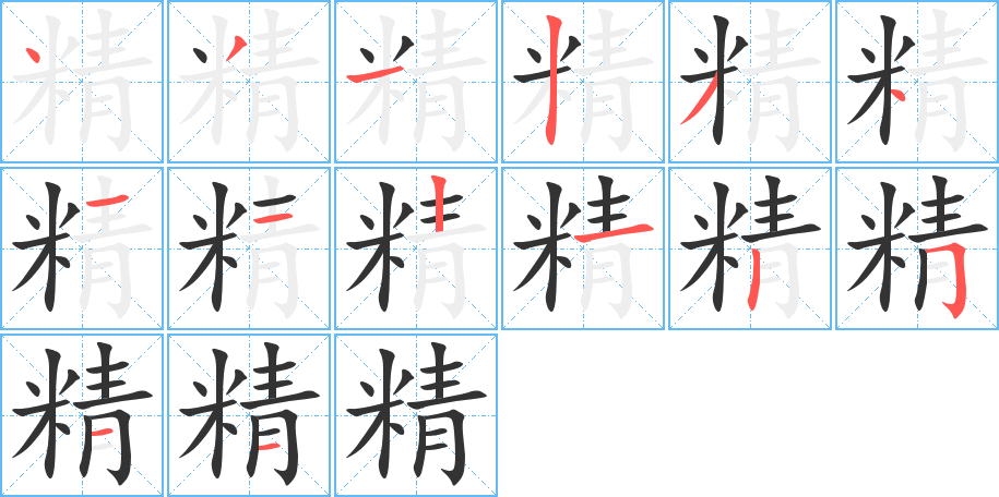 精字笔顺分步演示