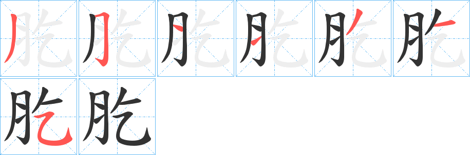 肐字笔顺分步演示