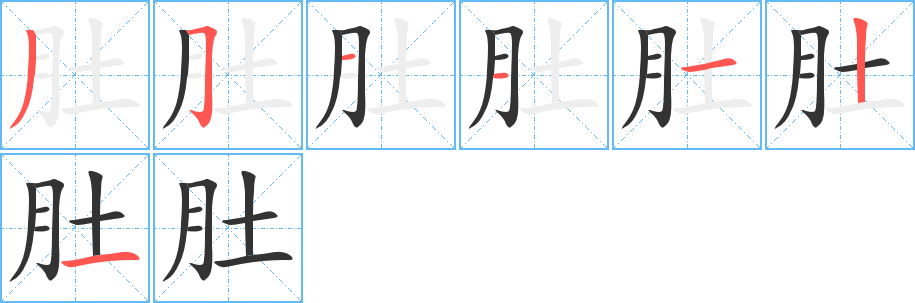 肚字笔顺分步演示