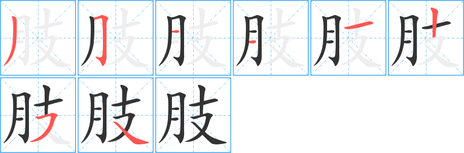 肢字笔顺分步演示