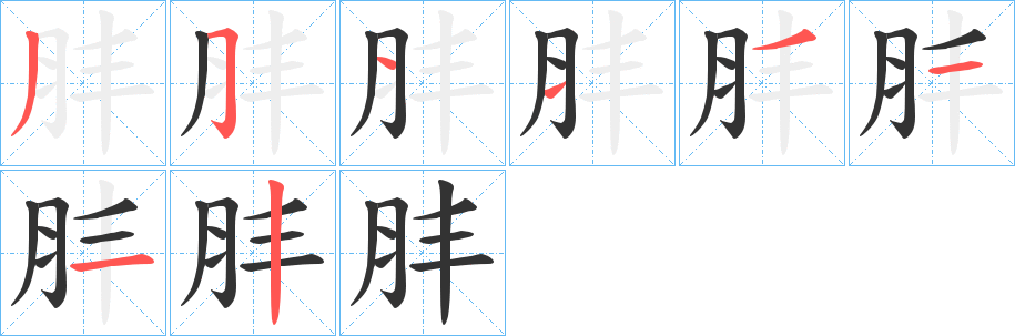 肨字笔顺分步演示