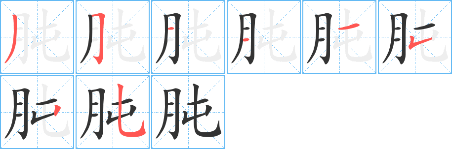 肫字笔顺分步演示