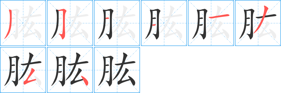 肱字笔顺分步演示