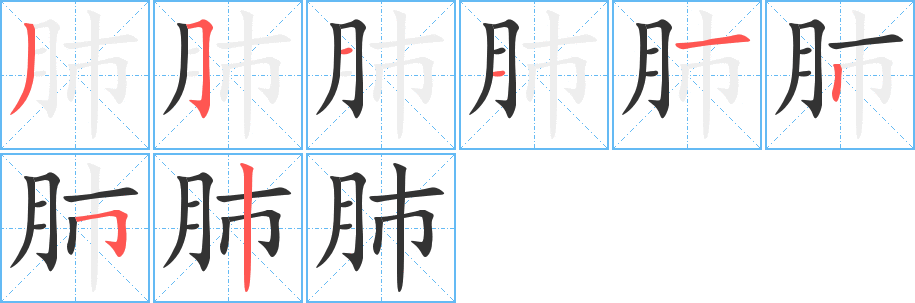 肺字笔顺分步演示