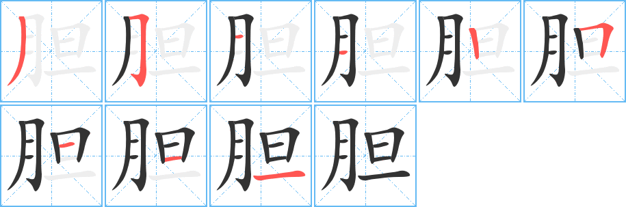 胆字笔顺分步演示