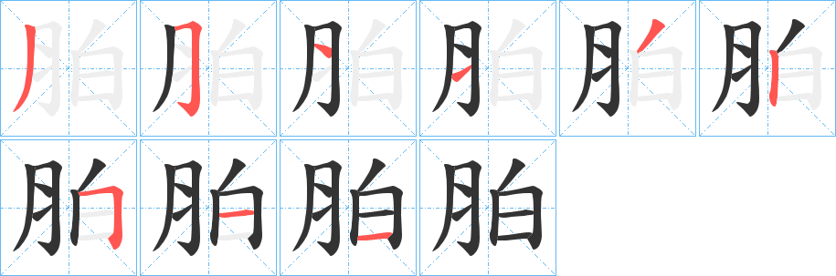 胉字笔顺分步演示