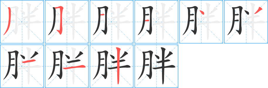 胖字笔顺分步演示