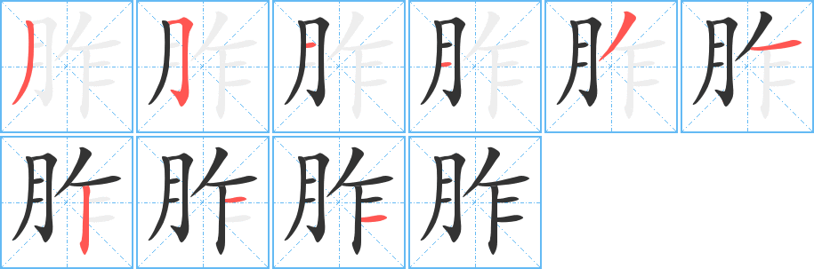 胙字笔顺分步演示