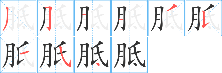 胝字笔顺分步演示