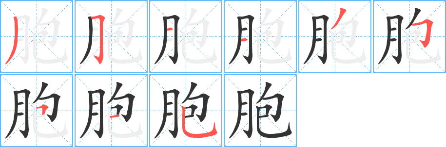 胞字笔顺分步演示