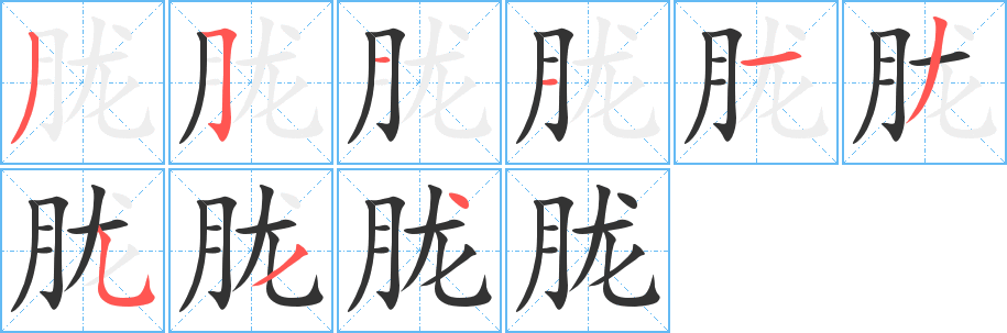 胧字笔顺分步演示