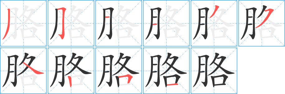 胳字笔顺分步演示