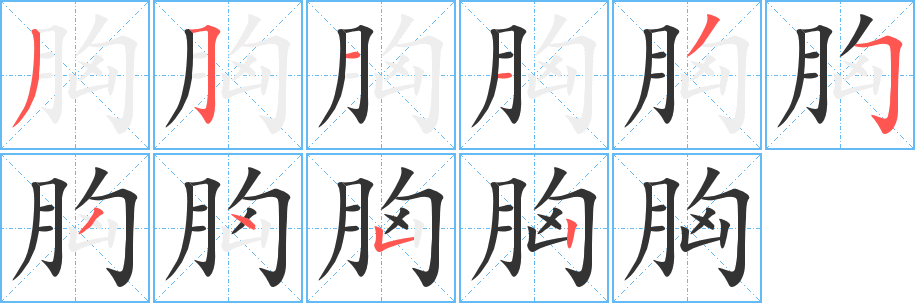 胸字笔顺分步演示