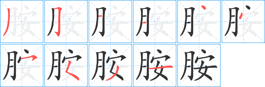 胺字笔顺分步演示