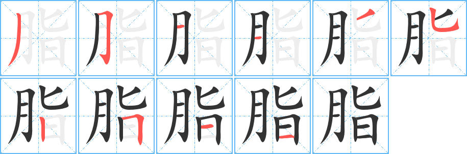 脂字笔顺分步演示