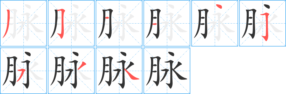 脉字笔顺分步演示