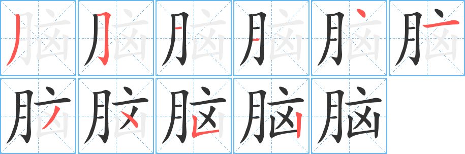 脑字笔顺分步演示