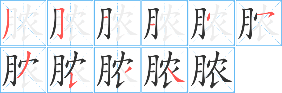 脓字笔顺分步演示