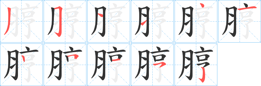 脝字笔顺分步演示