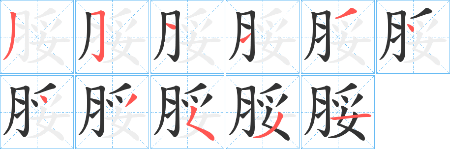 脮字笔顺分步演示