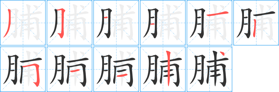 脯字笔顺分步演示