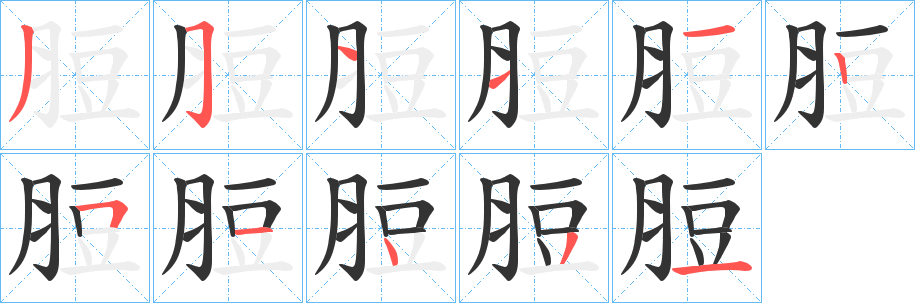 脰字笔顺分步演示