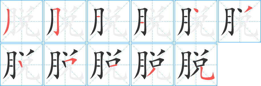 脱字笔顺分步演示