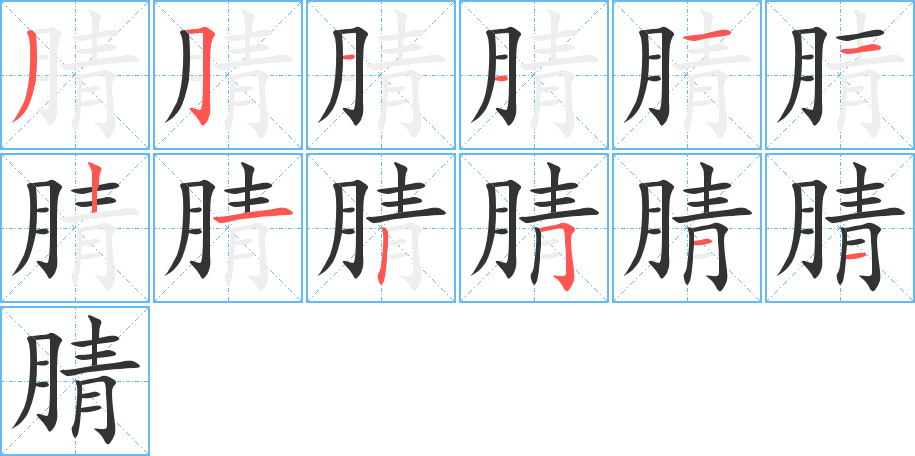 腈字笔顺分步演示