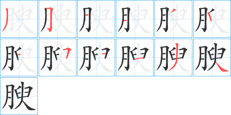 腴字笔顺分步演示