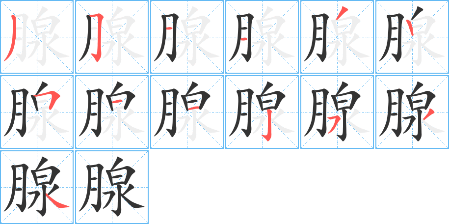 腺字笔顺分步演示