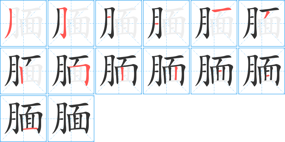 腼字笔顺分步演示