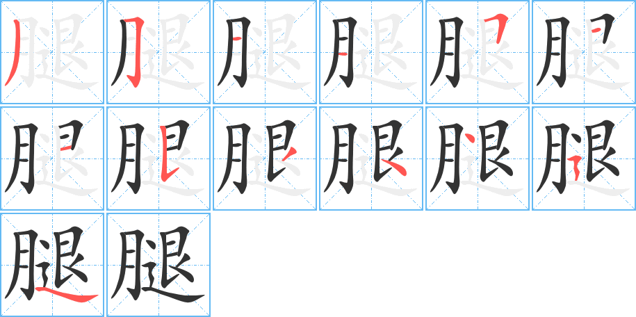 腿字笔顺分步演示