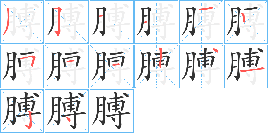 膊字笔顺分步演示