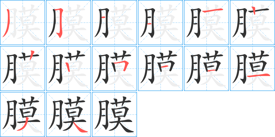 膜字笔顺分步演示