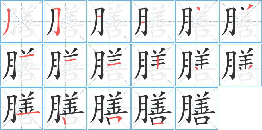 膳字笔顺分步演示