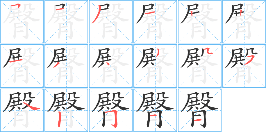 臀字笔顺分步演示