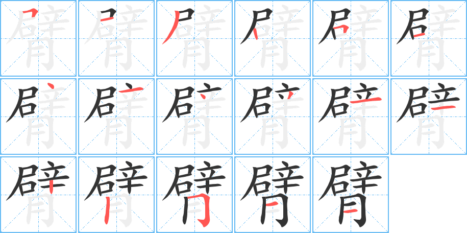 臂字笔顺分步演示