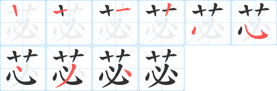 苾字笔顺分步演示