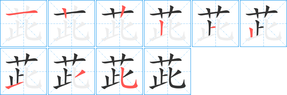 茈字笔顺分步演示