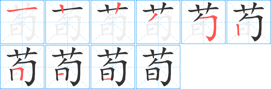 荀字笔顺分步演示