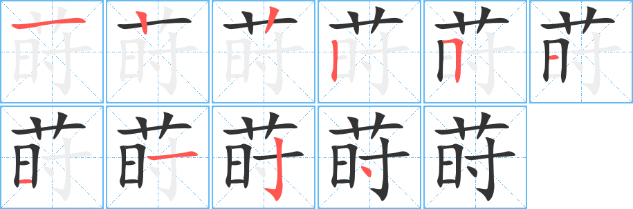 莳字笔顺分步演示