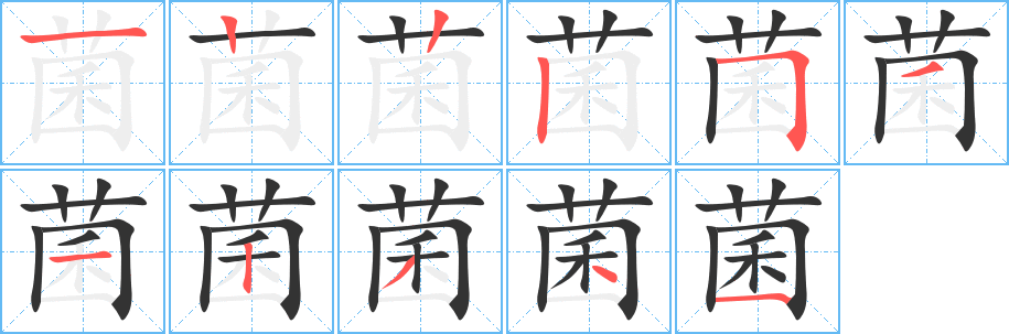 菌字笔顺分步演示