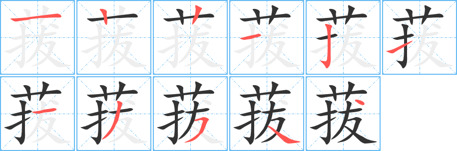 菝字笔顺分步演示