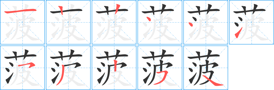 菠字笔顺分步演示