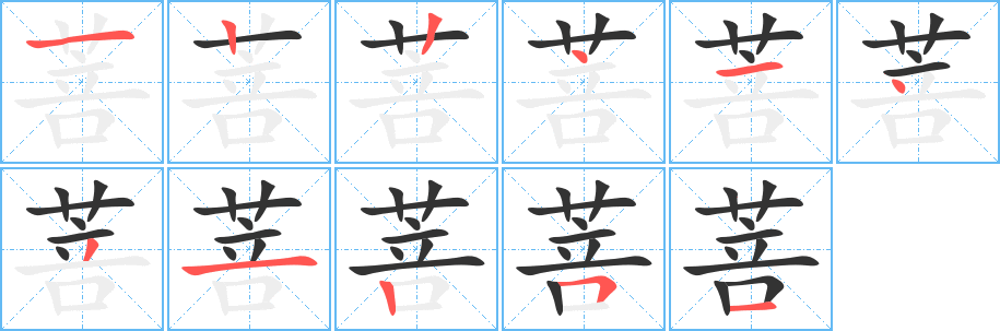 菩字笔顺分步演示