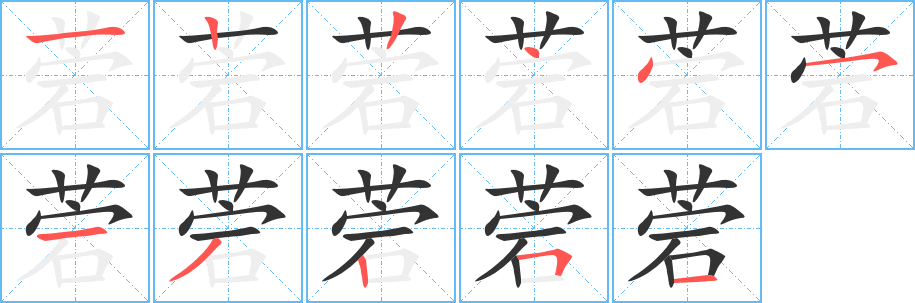 菪字笔顺分步演示